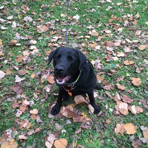 Meet your Posher, Kristina